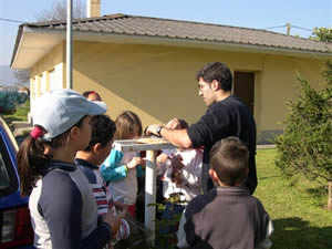 comederos paxaros